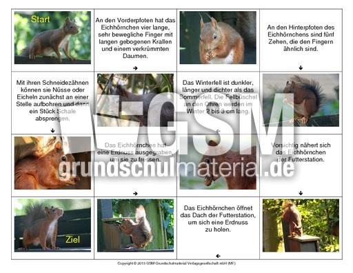 Eichhörnchen-Lese-Domino-2.pdf